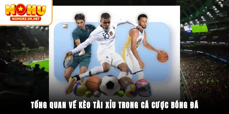 Tổng quan về kèo tài xỉu trong cá cược bóng đá